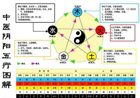 金 生 水|五行